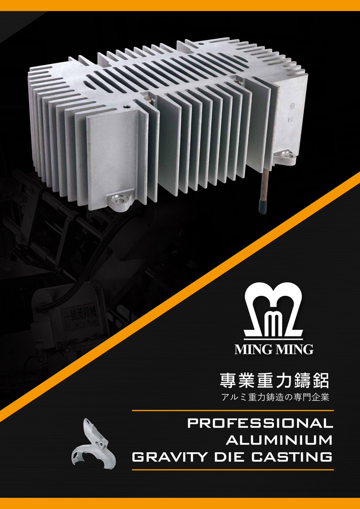 Professional gravity casting