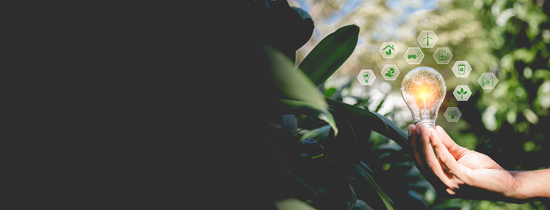 ESG-banner-3